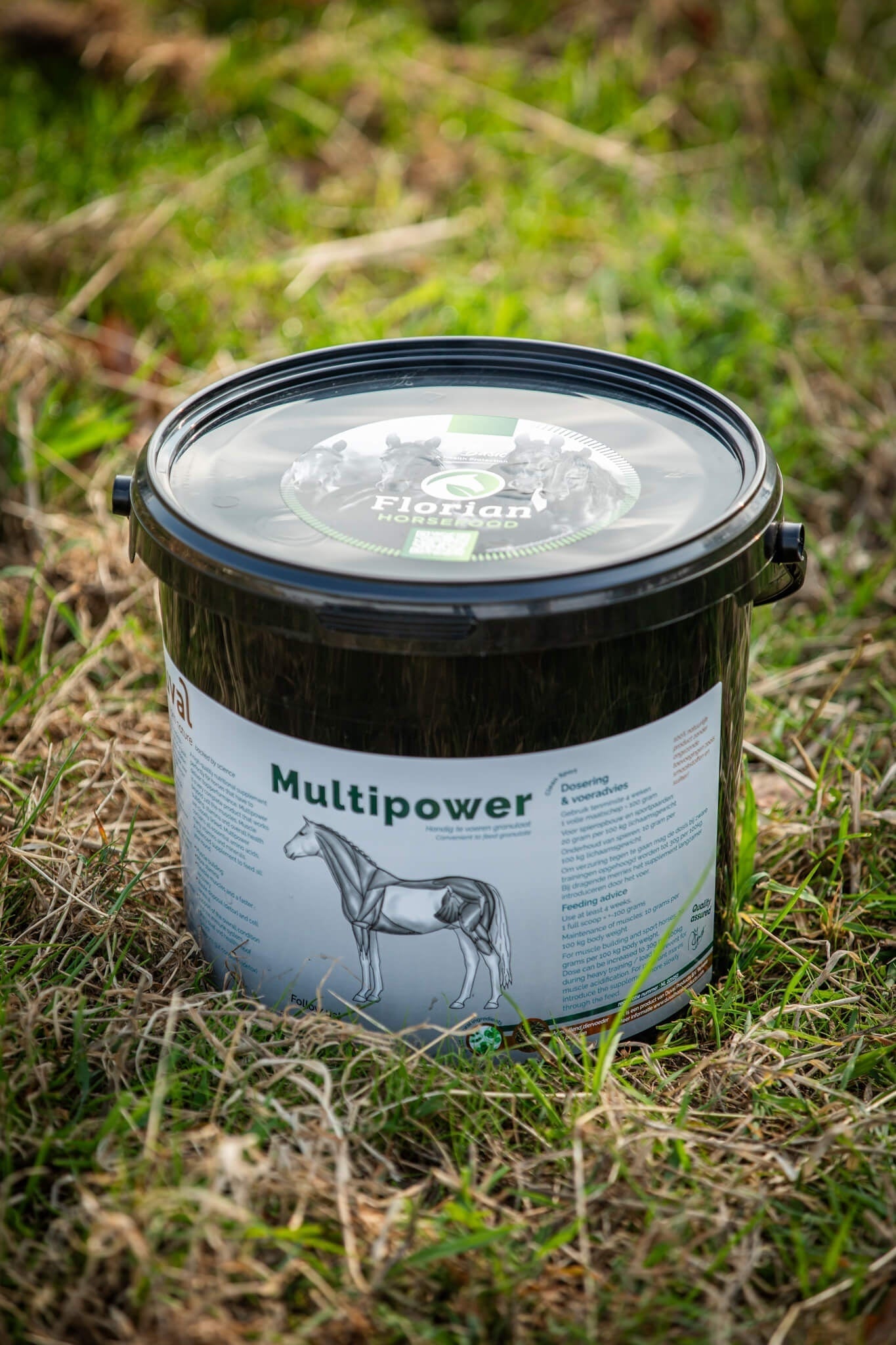 Duval multipower