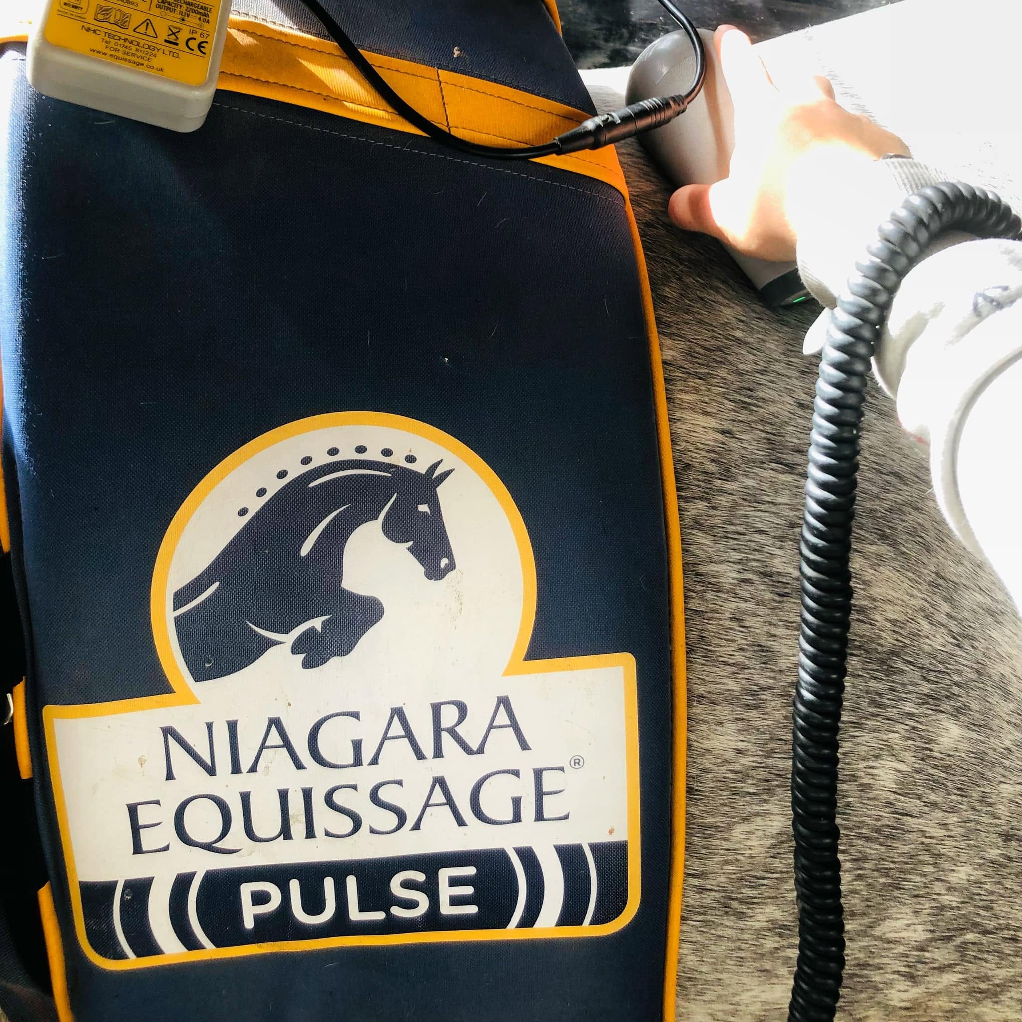 Equissage pulse